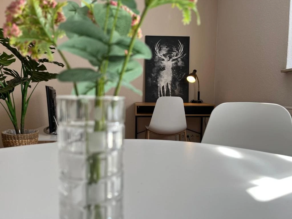 Arbeitsplatz · Der grüne Fürst · Appartement 2
