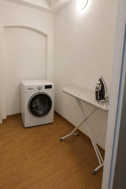 Waschmaschine und Bügeleisen · Der grüne Fürst · Ferienwohnung 1