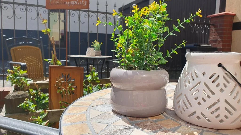 Terrasse · Der grüne Fürst · Ferienwohnung 2